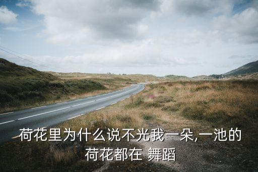 荷花中舞蹈视频教学,荷塘里盛开的荷花