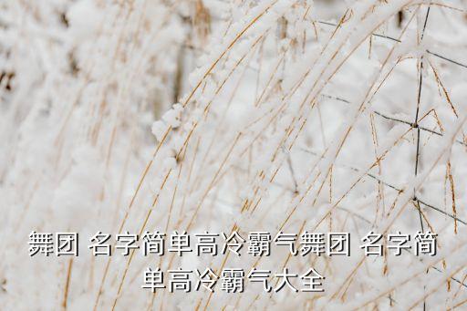 舞团 名字简单高冷霸气舞团 名字简单高冷霸气大全