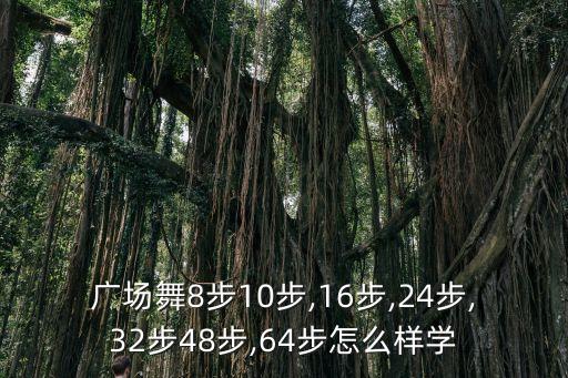 广场舞8步10步,16步,24步,32步48步,64步怎么样学