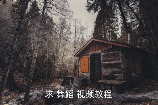 求 舞蹈 视频教程