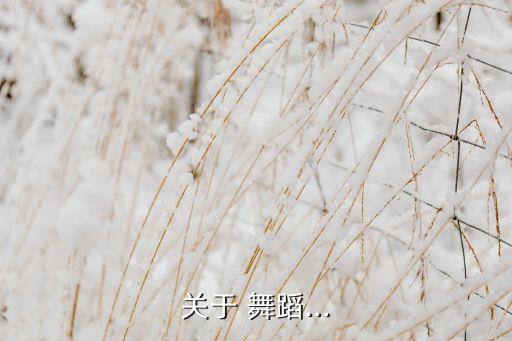 关于 舞蹈…