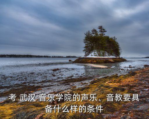 武汉音乐学院舞蹈系怎么考,11所独立音乐学院供你申请