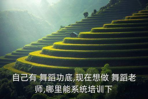 自己有 舞蹈功底,现在想做 舞蹈老师,哪里能系统培训下