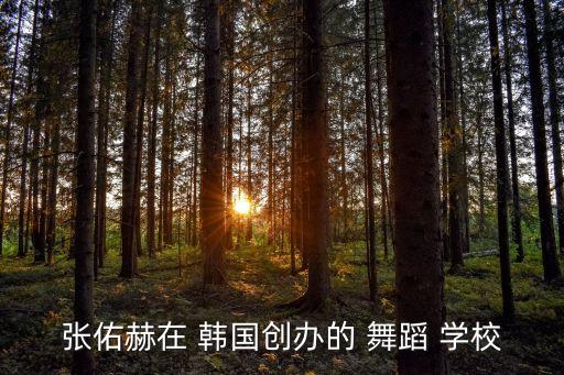 张佑赫在 韩国创办的 舞蹈 学校