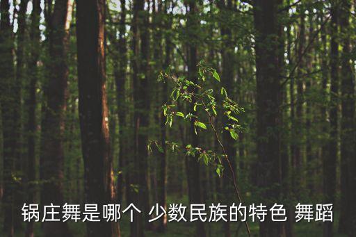 锅庄舞是哪个 少数民族的特色 舞蹈