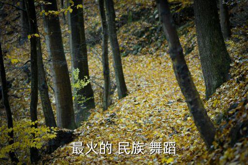 中国民间民族舞蹈排舞,红山民族dance又称中国民间舞蹈