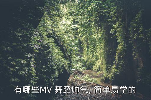 简单好看2人舞蹈,第一集:职业舞蹈教程视频