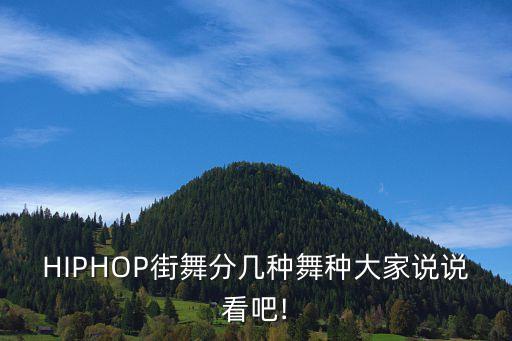HIPHOP街舞分几种舞种大家说说看吧!