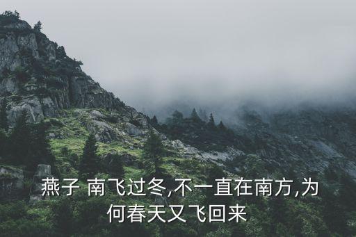  燕子 南飞过冬,不一直在南方,为何春天又飞回来