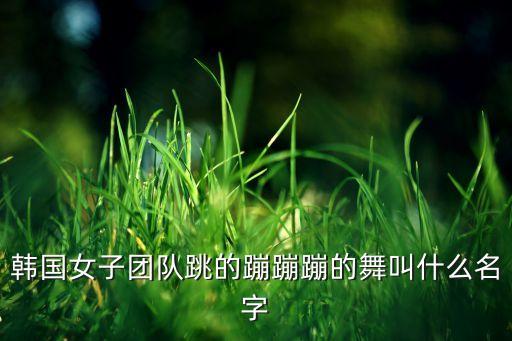韩国女子团队跳的蹦蹦蹦的舞叫什么名字