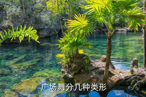  广场舞分几种类形