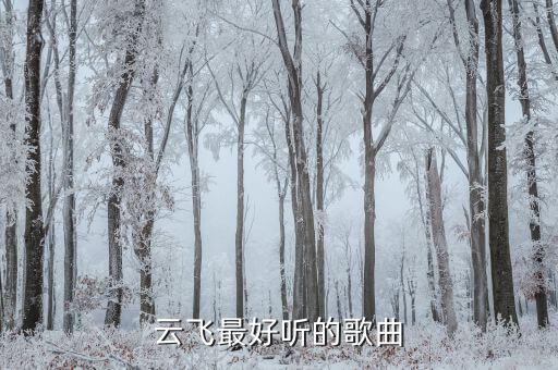 草原的月亮舞蹈队形,《和平中国》主唱云菲最新专辑