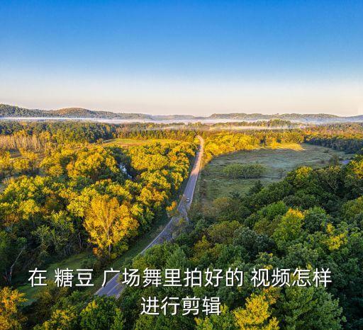广场舞蹈视频糖豆,第三步:点击上传舞蹈视频填写相关信息
