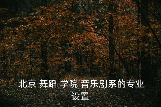  北京 舞蹈 学院 音乐剧系的专业设置