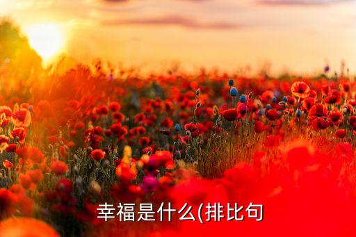 幸福的画舞蹈,幸福，是看见星空璀璨耀眼的瞬间