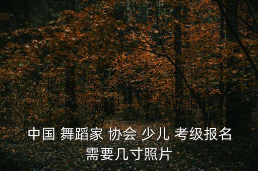 中国 舞蹈家 协会 少儿 考级报名需要几寸照片