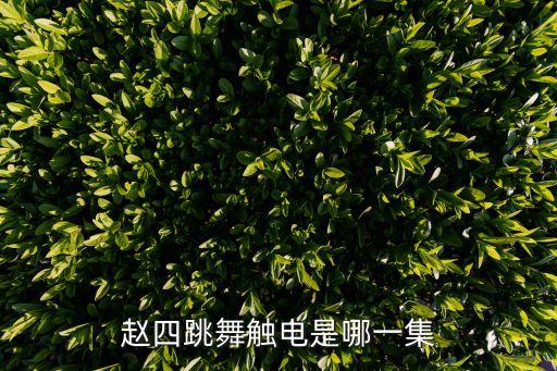 回娘家个人舞蹈视频,中国舞蹈名人刘能和赵四搭档合影留念