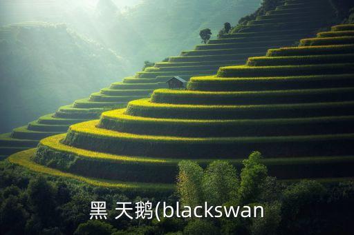 黑天鹅的舞蹈,俄罗斯选美比赛:白天鹅对黑天鹅的较量