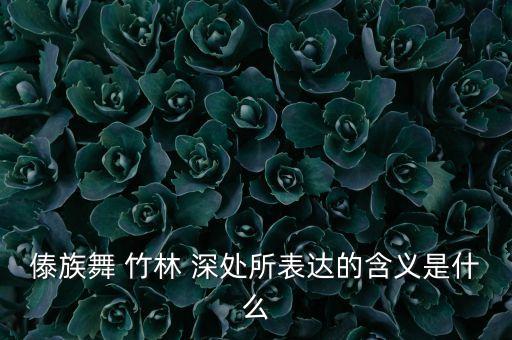 傣族舞 竹林 深处所表达的含义是什么