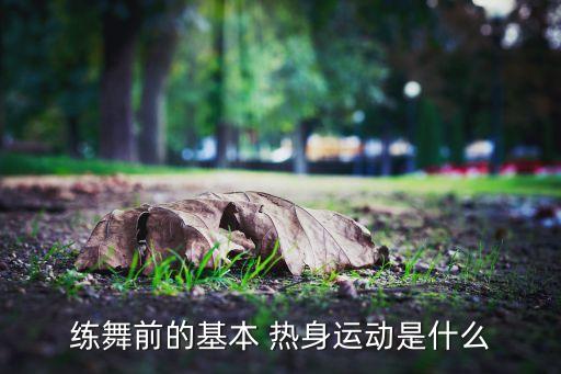 练舞前的基本 热身运动是什么
