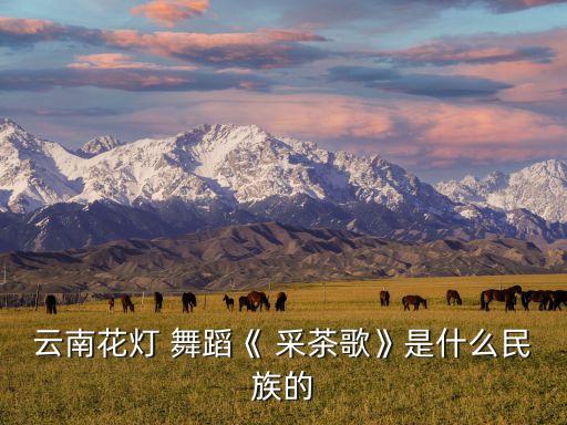 校园舞蹈采茶,采茶舞蹈云南花灯源于中原唐代特色舞蹈