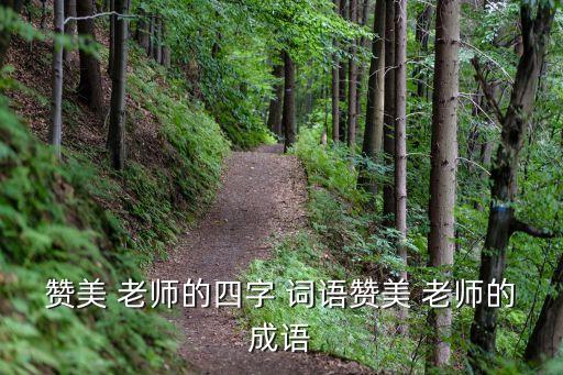 夸奖舞蹈老师的词语,老师可以分解为先育人和学生指南