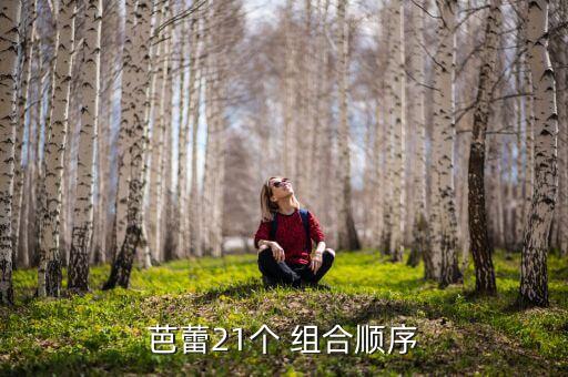 芭蕾21个 组合顺序