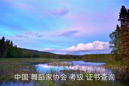 中国 舞蹈家协会 考级 证书查询