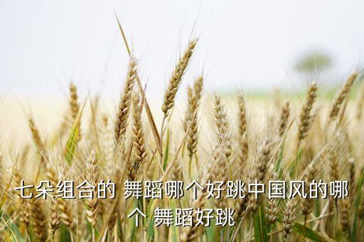 七朵组合的 舞蹈哪个好跳中国风的哪个 舞蹈好跳