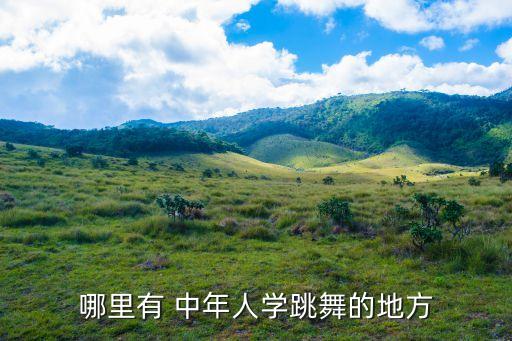 成都中年人想学舞蹈,成都8.9岁女孩子可以先学中国舞蹈