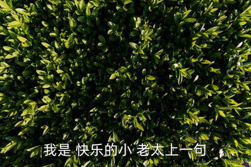 我是 快乐的小 老太上一句