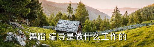 舞蹈编导的空间,舞蹈编导与教育专才的区别