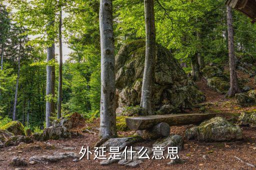 舞蹈的外延是什么,从艺术门类外延来看京剧比芭蕾大一倍