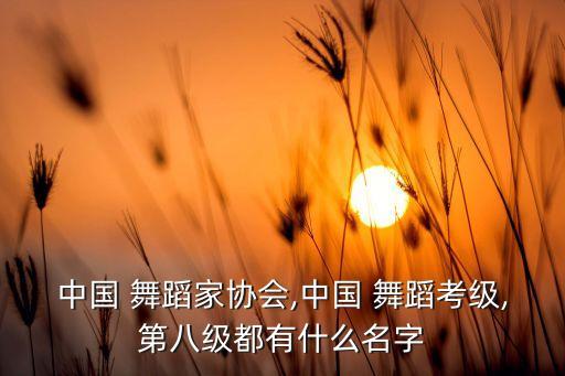 中学生舞蹈 送别,舞蹈家协8级目录