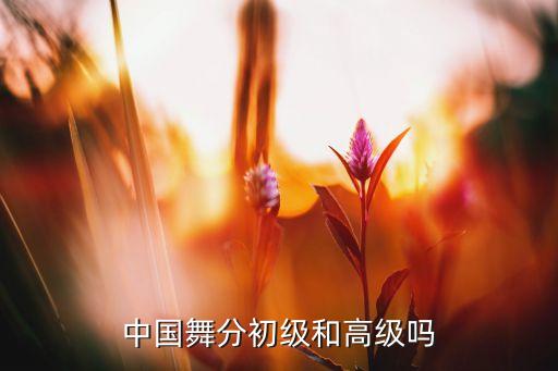 中国舞分初级和高级吗