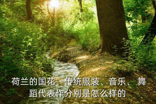 荷兰舞蹈剧场理念,欧洲大陆桥起点荷兰植物区荷兰国花郁金香