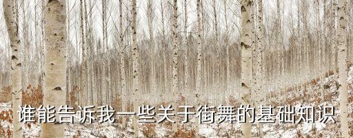 downtown舞蹈教学,街舞有很多种风格