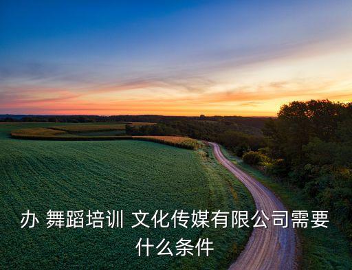 办 舞蹈培训 文化传媒有限公司需要什么条件