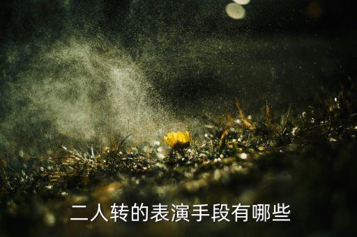  二人转的表演手段有哪些