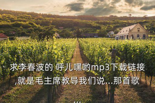 呼儿嘿约舞蹈,《小爸爸》主唱李春波青藏高原的呼唤