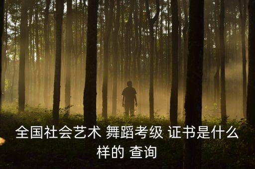国家舞蹈证书查询,国际标准舞国家a级教师资格证查询
