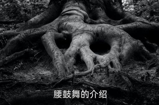  腰鼓舞的介绍