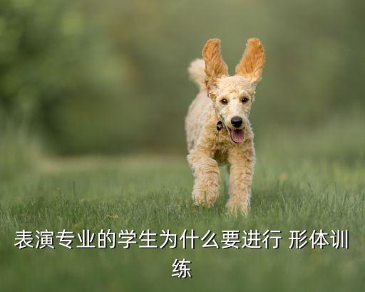 表演专业的学生为什么要进行 形体训练