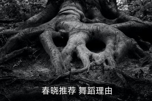  春晓推荐 舞蹈理由