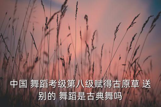 中国 舞蹈考级第八级赋得古原草 送别的 舞蹈是古典舞吗