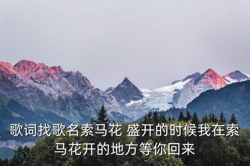 盛开的萦玛花舞蹈,金阳县成索玛花海成凉山独特而美丽的景观