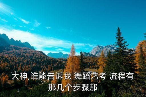 大型舞蹈演出流程,舞蹈专业考生报名表演将有哪些选择?