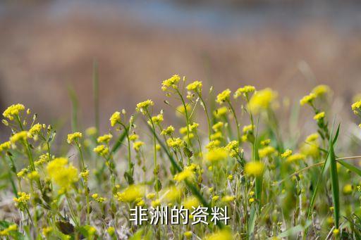 非同小可舞蹈.,南非是世界上最大的黄金生产国和出口国