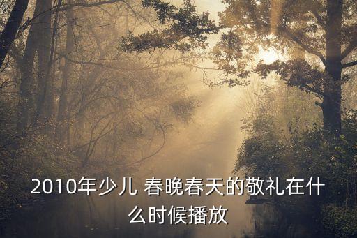 2010年少儿 春晚春天的敬礼在什么时候播放