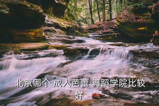北京成人舞蹈培训一般多少钱,要选择值得信赖的舞蹈培训机构